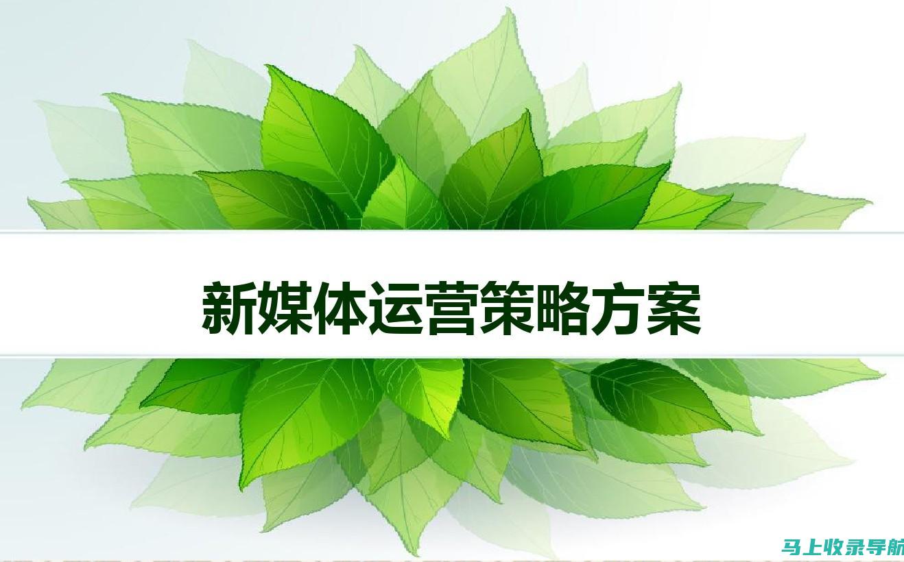 网络推广新纪元